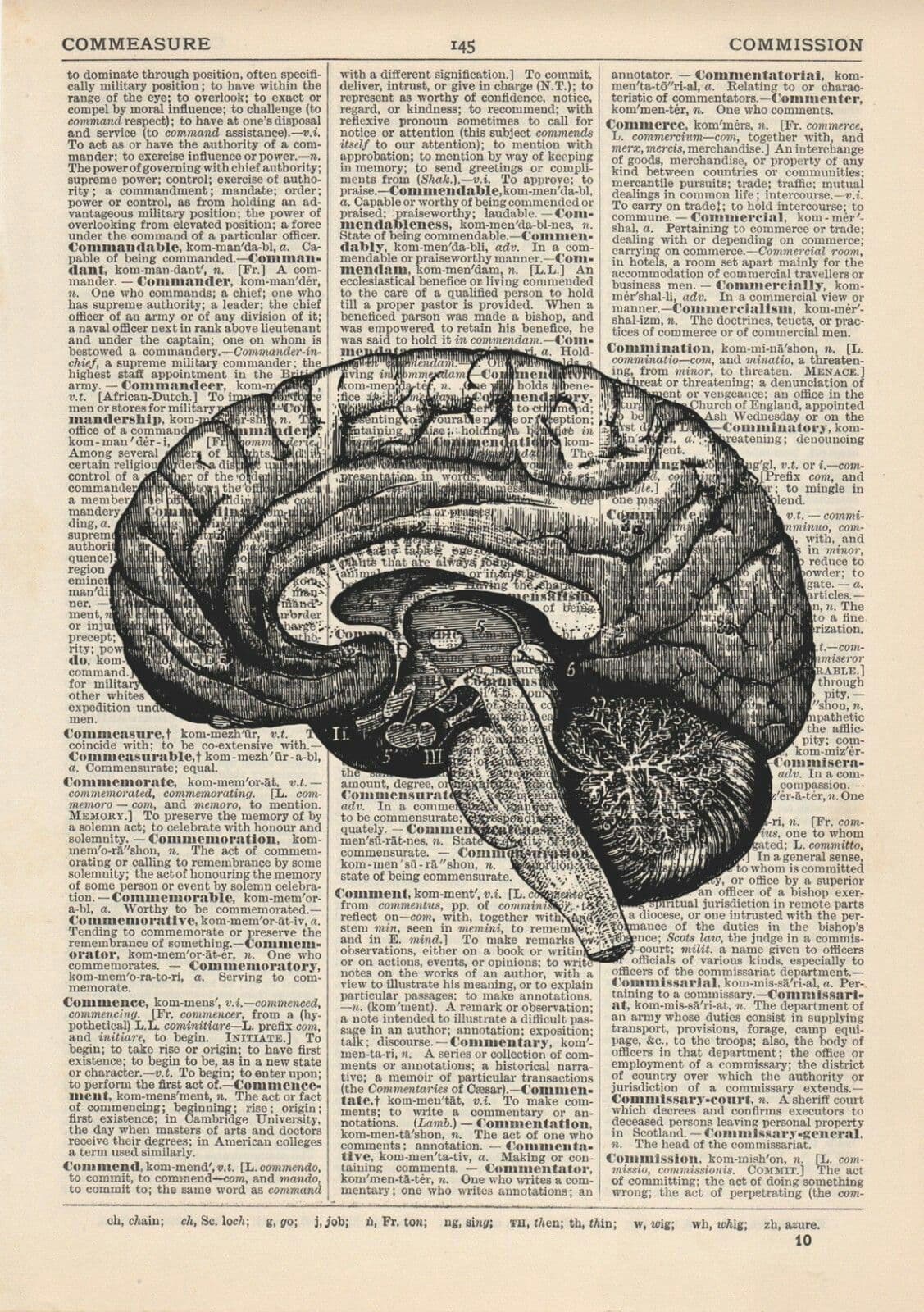 Reflecta → Your Personal AI Coach for Radical Growth